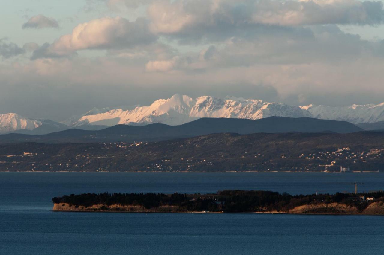 Sobe Pri Anici Hotell Koper Exteriör bild